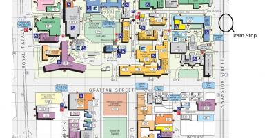 Victoria mapie kampusu uniwersytetu